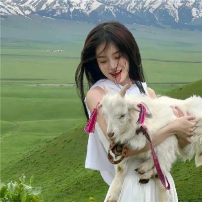 有法无天